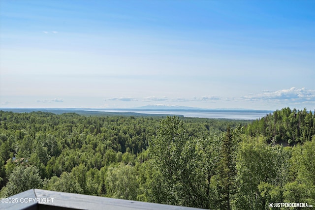 19712 Chugach Park Dr, Eagle River, AK 99567 - view of mountain background featuring a forest
