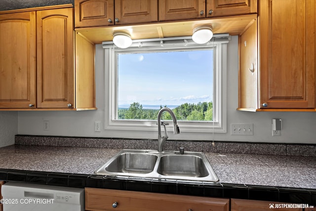 19712 Chugach Park Dr, Eagle River, AK 99567 - kitchen featuring dishwashing machine and brown cabinetry
