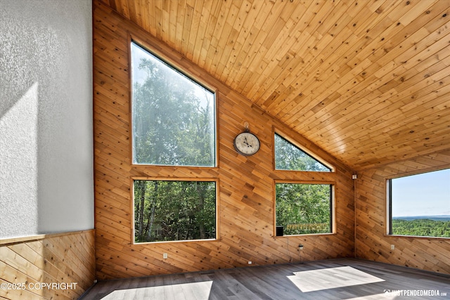 19712 Chugach Park Dr, Eagle River, AK 99567 - empty room with plenty of natural light, wood walls, wood finished floors, wood ceiling, and high vaulted ceiling