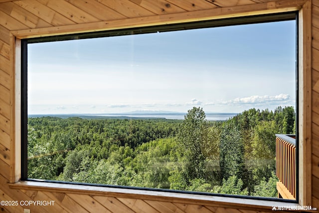 19712 Chugach Park Dr, Eagle River, AK 99567 - water view with a heavily wooded area
