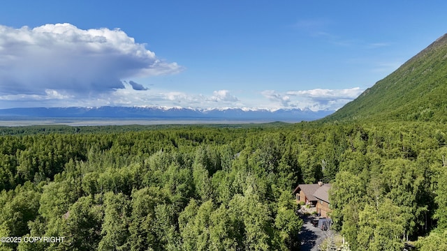 19712 Chugach Park Dr, Eagle River, AK 99567 - mountain view with a forest