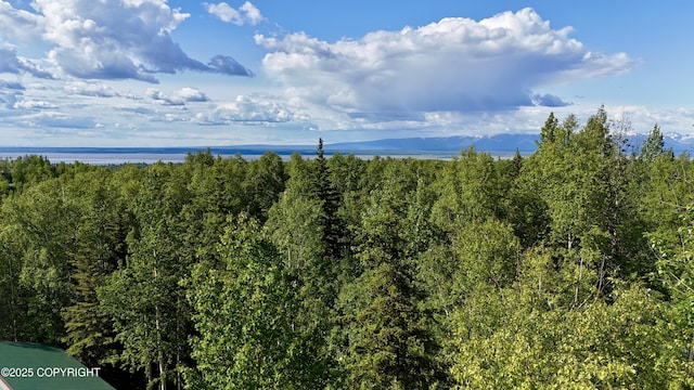 19712 Chugach Park Dr, Eagle River, AK 99567 - view of mountain background with a forest