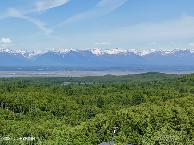 19712 Chugach Park Dr, Eagle River, AK 99567 - view of mountain backdrop featuring a forest