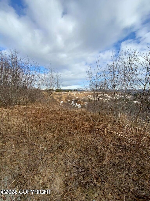 36680 Fox Rd, Anchor Point, AK 99556