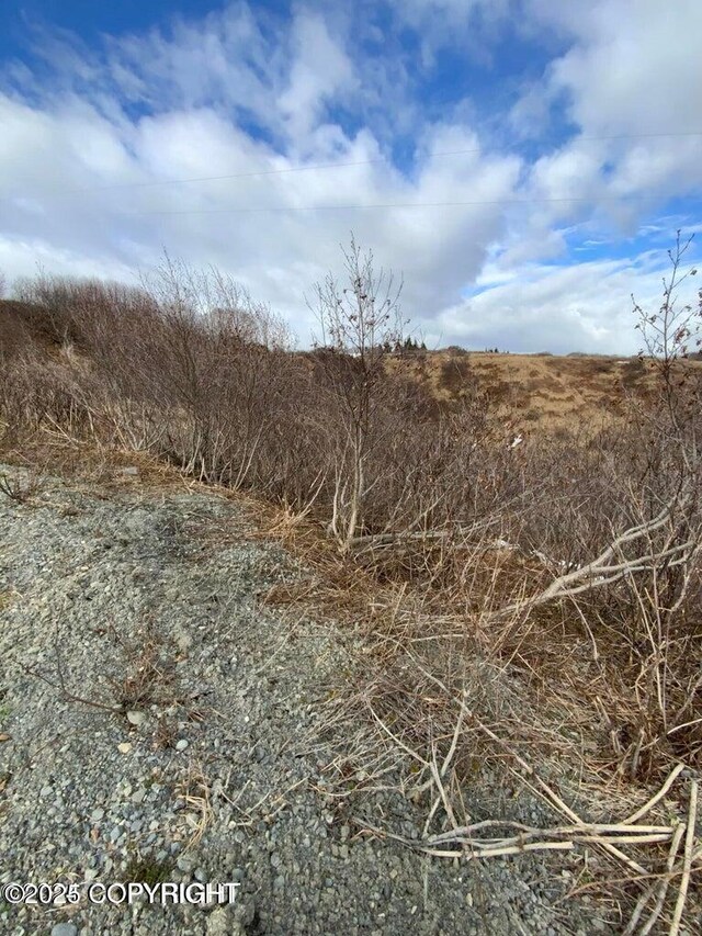 36680 Fox Rd, Anchor Point, AK 99556
