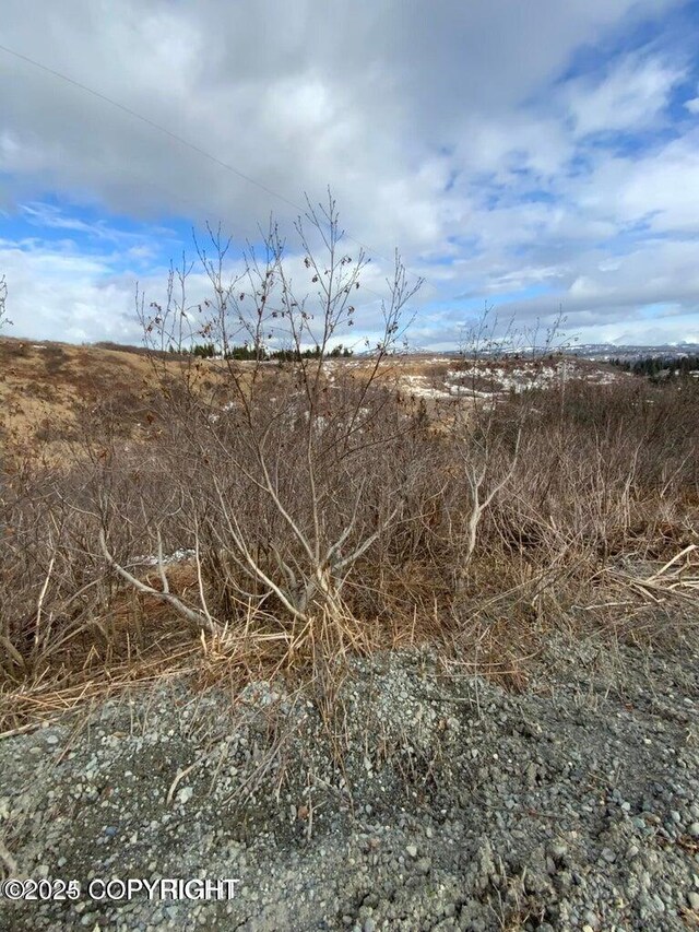 36680 Fox Rd, Anchor Point, AK 99556
