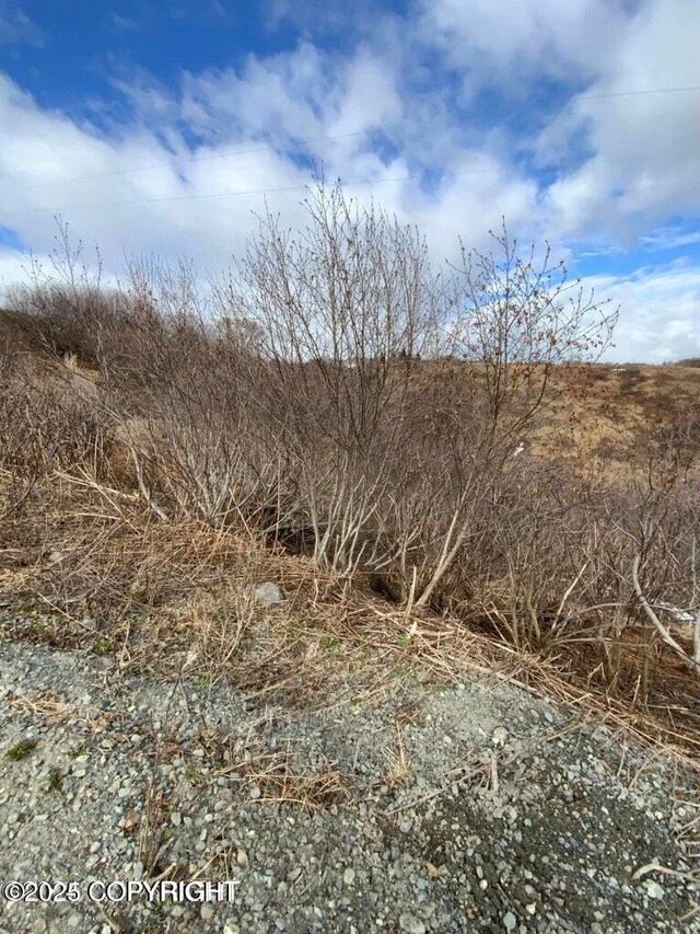 36680 Fox Rd, Anchor Point, AK 99556