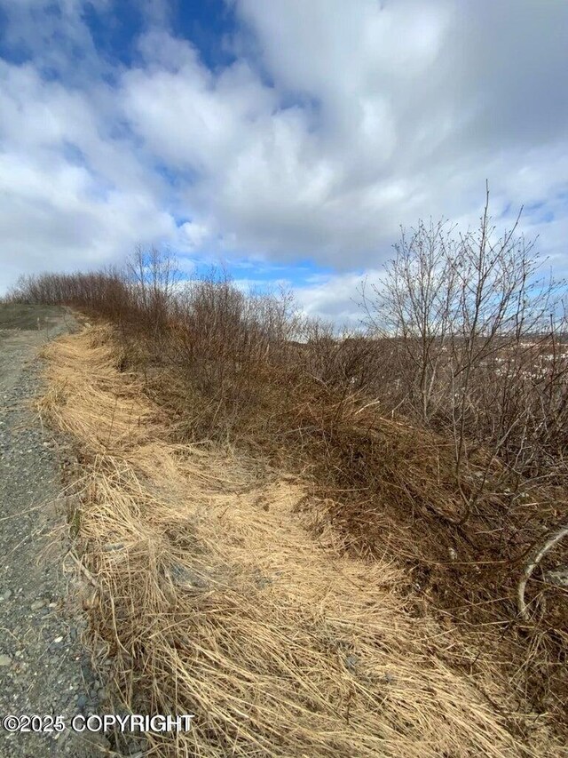 36680 Fox Rd, Anchor Point, AK 99556