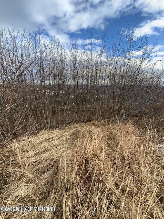 36680 Fox Rd, Anchor Point, AK 99556