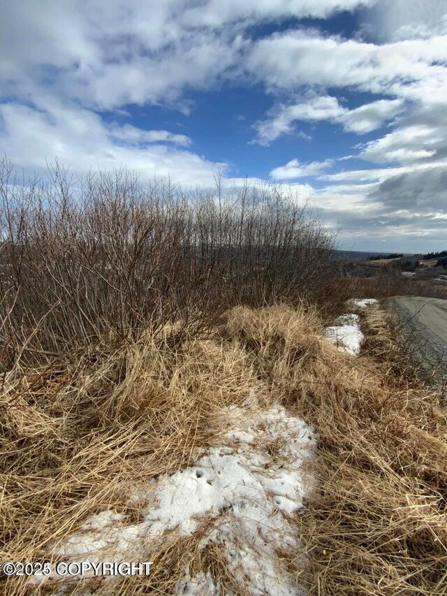 36680 Fox Rd, Anchor Point, AK 99556