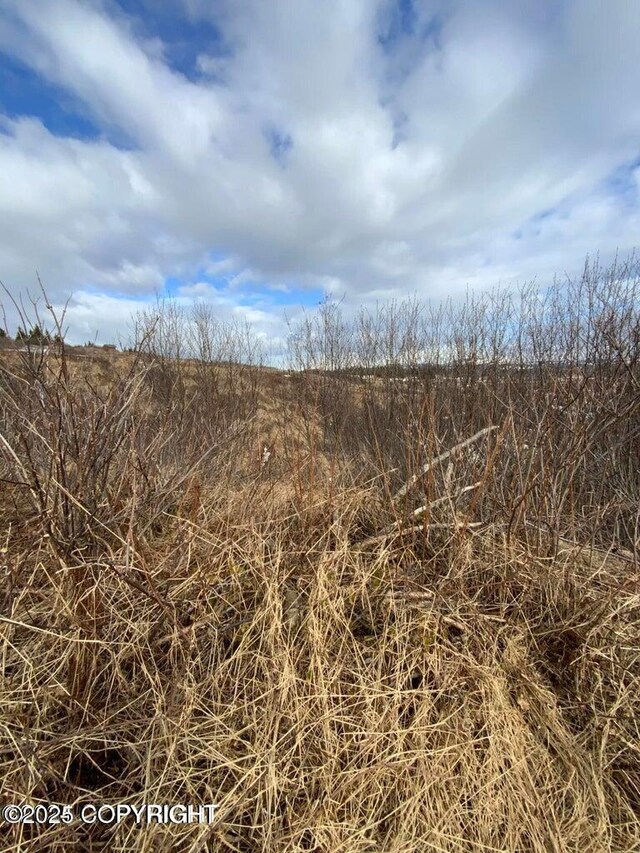 36680 Fox Rd, Anchor Point, AK 99556