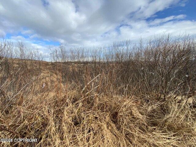 36680 Fox Rd, Anchor Point, AK 99556