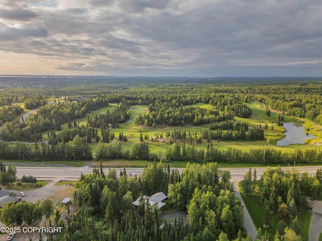 3890 Janet Lee Cir, Anchorage, AK 99516 - aerial view of a nearby body of water and a forest