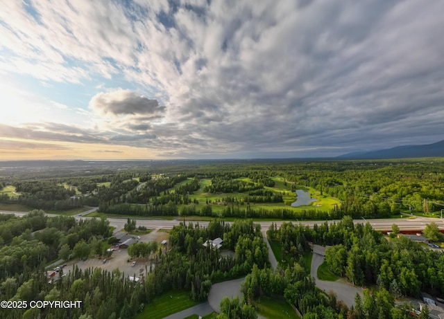 3890 Janet Lee Cir, Anchorage, AK 99516 - aerial view at dusk of a forest view and a water view