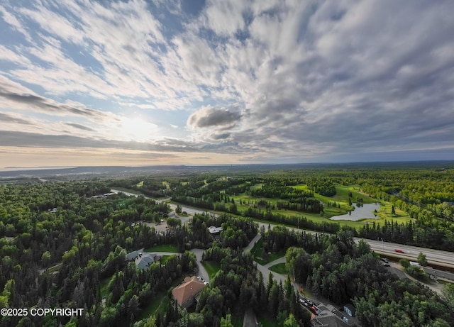 3890 Janet Lee Cir, Anchorage, AK 99516 - aerial view of property and surrounding area featuring a nearby body of water and a heavily wooded area