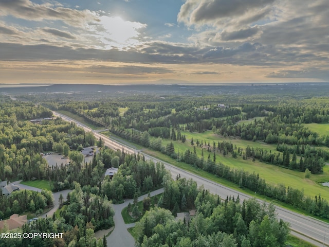3890 Janet Lee Cir, Anchorage, AK 99516 - bird's eye view