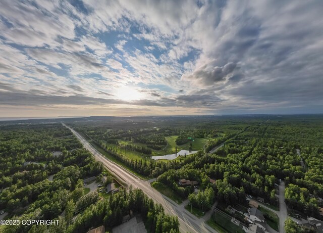 3890 Janet Lee Cir, Anchorage, AK 99516 - aerial view at dusk of a forest view