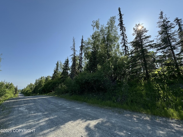 30307 Naomi St, Soldotna, AK 99669 - photo 4