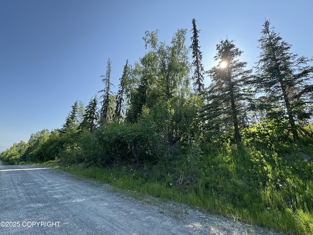 30307 Naomi St, Soldotna, AK 99669 - photo 2