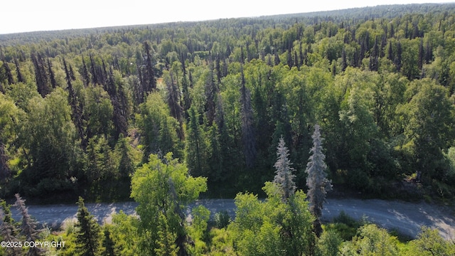 30307 Naomi St, Soldotna, AK 99669 - photo 1