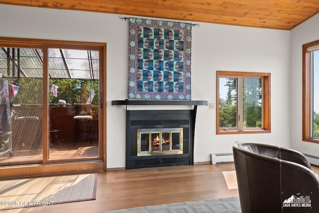 11411 Snowline Dr, Anchorage, AK 99507 - living room featuring a baseboard radiator, plenty of natural light, wood finished floors, a glass covered fireplace, and wood ceiling