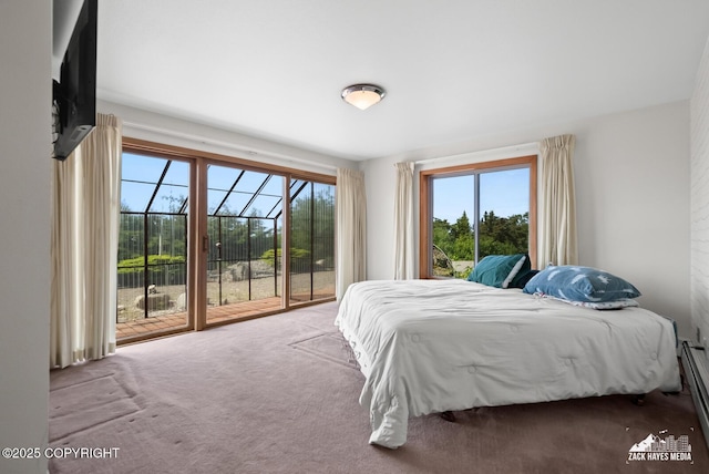 11411 Snowline Dr, Anchorage, AK 99507 - carpeted bedroom featuring access to outside, multiple windows, and baseboard heating