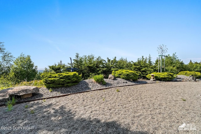 11411 Snowline Dr, Anchorage, AK 99507 - view of yard