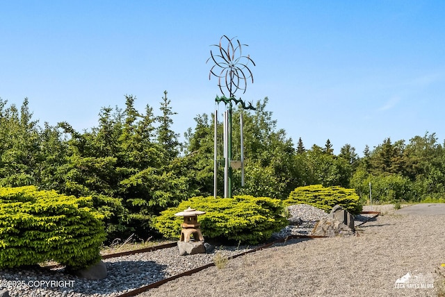 11411 Snowline Dr, Anchorage, AK 99507 - view of yard