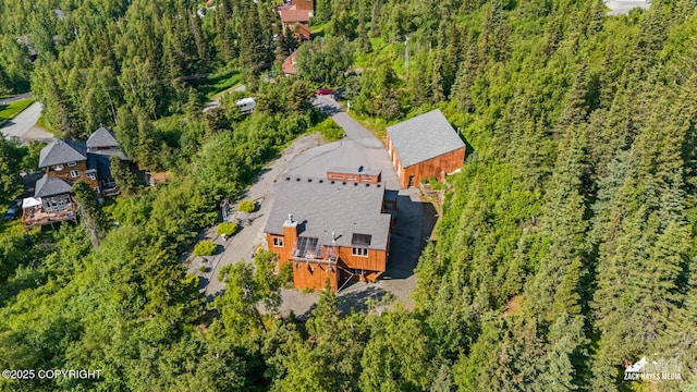 11411 Snowline Dr, Anchorage, AK 99507 - bird's eye view of a forest