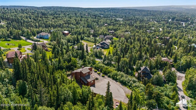 11411 Snowline Dr, Anchorage, AK 99507 - drone / aerial view of a forest