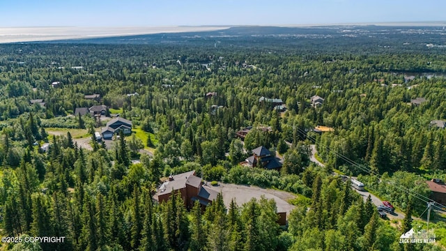11411 Snowline Dr, Anchorage, AK 99507 - aerial view of property and surrounding area featuring a forest
