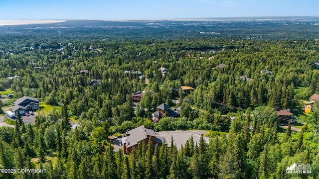 11411 Snowline Dr, Anchorage, AK 99507 - view of property location with a forest