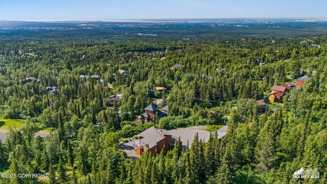 11411 Snowline Dr, Anchorage, AK 99507 - aerial view of property's location featuring a heavily wooded area