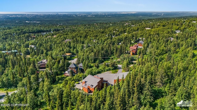 11411 Snowline Dr, Anchorage, AK 99507 - aerial view of property's location with a heavily wooded area