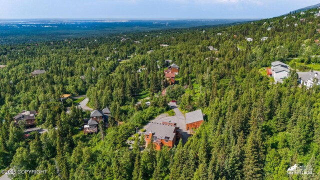 11411 Snowline Dr, Anchorage, AK 99507 - drone / aerial view of a heavily wooded area