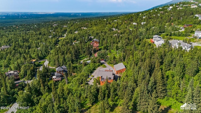 11411 Snowline Dr, Anchorage, AK 99507 - aerial view of property and surrounding area with a heavily wooded area and a mountainous background