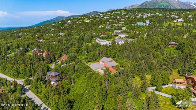 11411 Snowline Dr, Anchorage, AK 99507 - aerial overview of property's location with a mountainous background