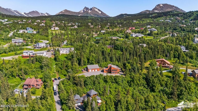 11411 Snowline Dr, Anchorage, AK 99507 - aerial view of property and surrounding area with a mountainous background