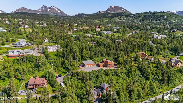 11411 Snowline Dr, Anchorage, AK 99507 - view of property location with a mountain backdrop and a forest
