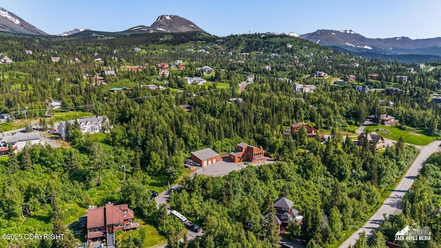 11411 Snowline Dr, Anchorage, AK 99507 - aerial view of property and surrounding area with mountains and a forest