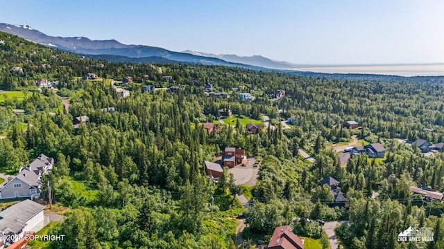 11411 Snowline Dr, Anchorage, AK 99507 - drone / aerial view of a forest and mountains