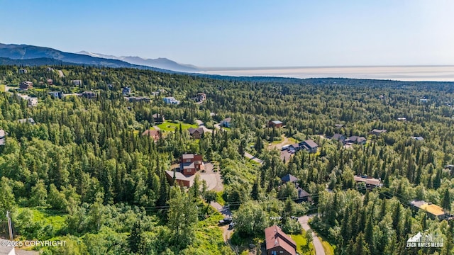 11411 Snowline Dr, Anchorage, AK 99507 - drone / aerial view of a heavily wooded area and a mountainous background
