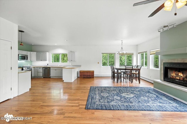 1447 N Ranch Rd, Palmer, AK 99645 - kitchen with appliances with stainless steel finishes, light countertops, healthy amount of natural light, and light wood finished floors