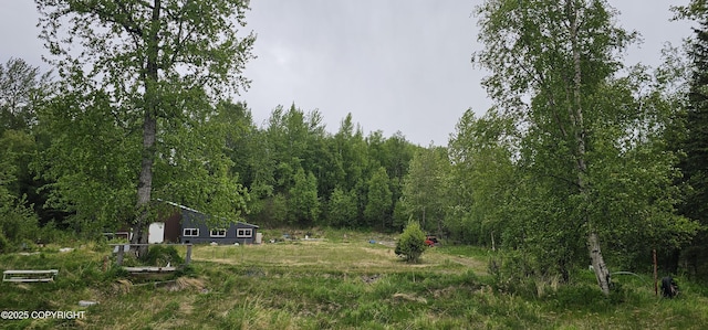 2514 E Sleepy Hollow Cir, Wasilla, AK 99654 - view of yard with a forest view