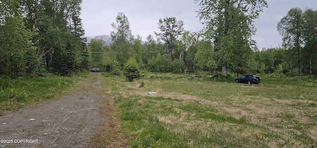 2514 E Sleepy Hollow Cir, Wasilla, AK 99654 - view of dirt / gravel road with a forest view