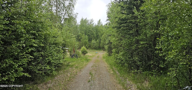 2514 E Sleepy Hollow Cir, Wasilla, AK 99654 - view of local wilderness