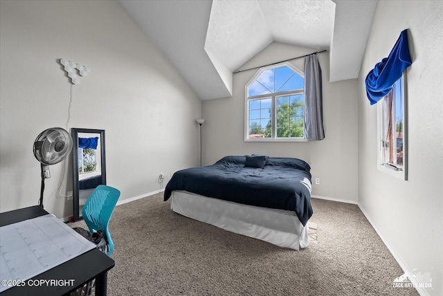 5320 Larkspur St, Anchorage, AK 99507 - carpeted bedroom with vaulted ceiling and a textured ceiling