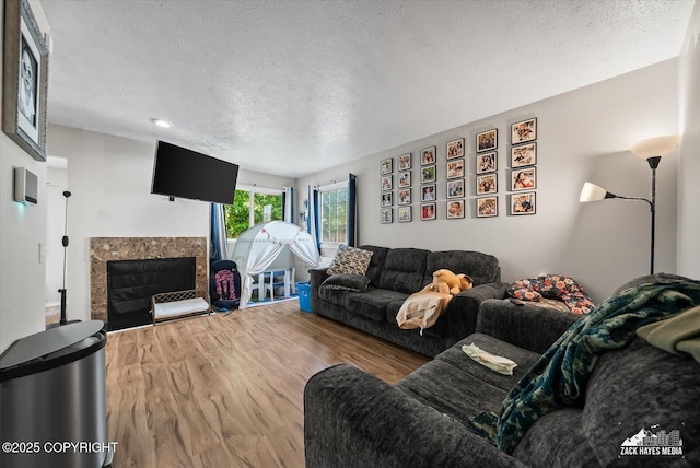 5320 Larkspur St, Anchorage, AK 99507 - living area with wood finished floors, a textured ceiling, and a premium fireplace