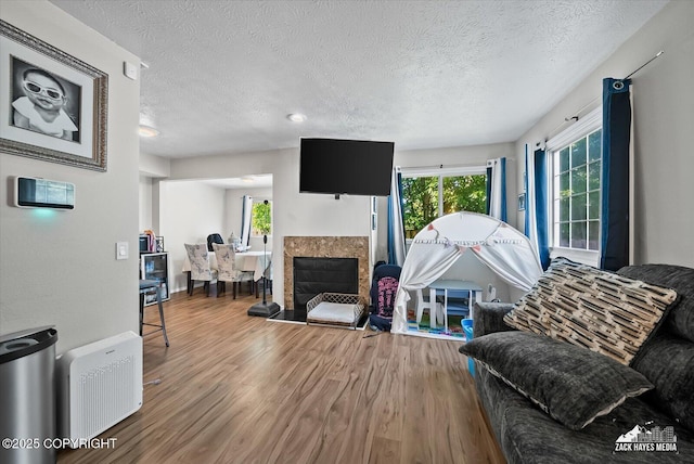 5320 Larkspur St, Anchorage, AK 99507 - living room with wood finished floors, a textured ceiling, and a glass covered fireplace