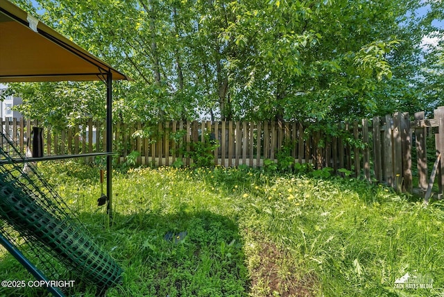5320 Larkspur St, Anchorage, AK 99507 - view of fenced backyard
